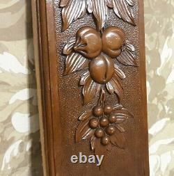 Bow ribbon fruit garland carving panel Antique french architectural salvage 14