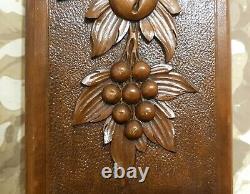 Bow ribbon fruit garland carving panel Antique french architectural salvage 14