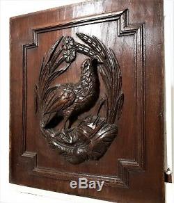 Farmhouse bird hunting panel Antique french carved wood architectural salvage