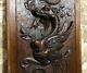Female Dragon Fire Chimera Carving Panel Antique French Architectural Salvage