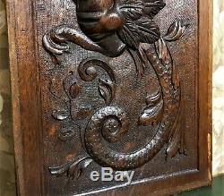 Female dragon fire chimera carving panel Antique french architectural salvage