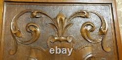 Flower scroll leaves carved wood panel Antique french architectural salvage 18