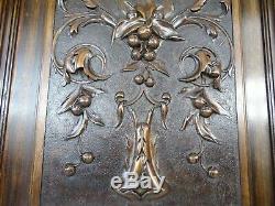 French Antique Architectural Deep Hand Carved Walnut Wood Door Panel Butterfly