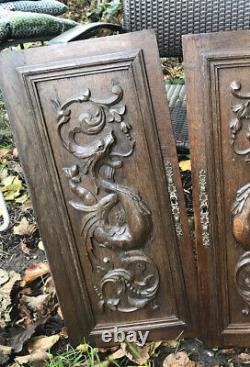 French Antique Carved Panel Door Solid Walnut Wood Urn Sea Creatures 19 x 26