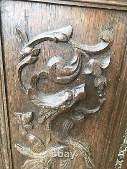 French Antique Carved Panel Door Solid Walnut Wood Urn Sea Creatures 19 x 26