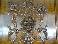 French Antique Deep Carved Panel Door Baccus/Green Man Face Walnut Wood 31T/ N1