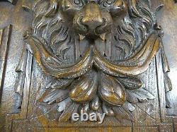 French Antique Deep Carved Panel Door Lion Head Oak Wood N°2