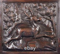 French Antique Deeply Carved Oak Wood Panel with a Deer/Buck