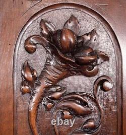 French Antique Deeply Carved Panel Solid Walnut Wood with Cornucopia