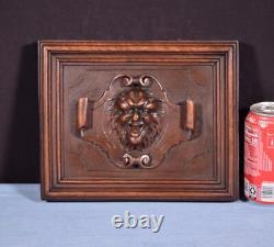 French Antique Hand Carved Architectural Door Panel Walnut Wood with Face