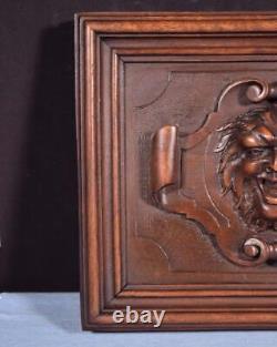 French Antique Hand Carved Architectural Door Panel Walnut Wood with Face