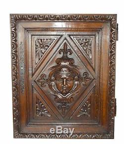 French Antique Renaissance Hand Carved Walnut Wood Salvage Door Panel, Mascaron