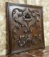 Fruit Scroll Leaves Wood Carving Panel Antique French Architectural Salvage