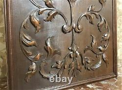 Fruit scroll leaves wood carving panel Antique french architectural salvage 19