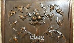 Fruit scroll leaves wood carving panel Antique french architectural salvage 19