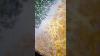 Gorgeous Lacing On This Wood Panel Pour Shorts Acrylicpouring Art Painting
