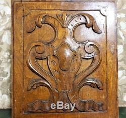Gothic medieval wood carving panel Antique french blazon architectural salvage