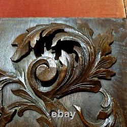 Griffin scroll leaf wood carving panel 21 Antique French architectural salvage