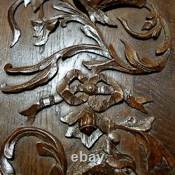 Griffin scroll leaf wood carving panel 21 Antique French architectural salvage