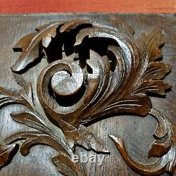 Griffin scroll leaf wood carving panel 21 Antique French architectural salvage