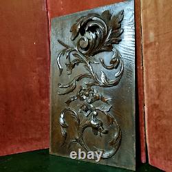 Griffin scroll leaf wood carving panel 21 Antique French architectural salvage