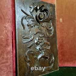 Griffin scroll leaf wood carving panel 21 Antique French architectural salvage