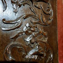 Griffin scroll leaf wood carving panel 21 Antique French architectural salvage