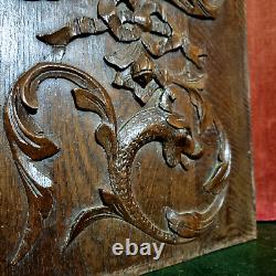 Griffin scroll leaf wood carving panel 21 Antique French architectural salvage