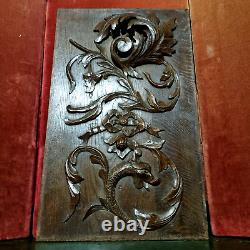 Griffin scroll leaf wood carving panel 21 Antique French architectural salvage