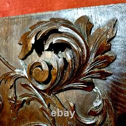 Griffin scroll leaf wood carving panel 21 Antique French architectural salvage