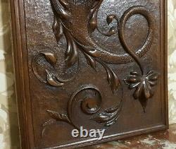 Griffin scroll leaf wood carving panel Antique french architectural salvage 26