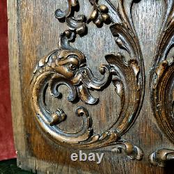 Griffin scroll leaves wood carving panel Antique French architectural salvage