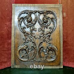 Griffin scroll leaves wood carving panel Antique French architectural salvage