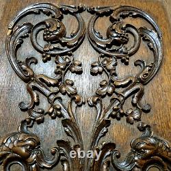 Griffin scroll leaves wood carving panel Antique French architectural salvage