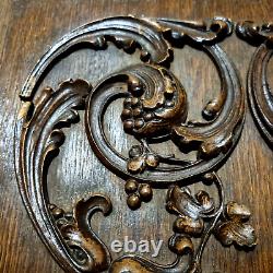 Griffin scroll leaves wood carving panel Antique French architectural salvage