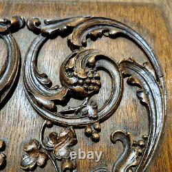 Griffin scroll leaves wood carving panel Antique French architectural salvage