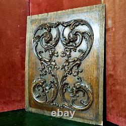 Griffin scroll leaves wood carving panel Antique French architectural salvage