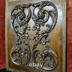 Griffin scroll leaves wood carving panel Antique French architectural salvage