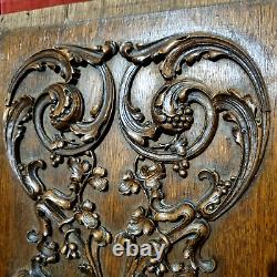 Griffin scroll leaves wood carving panel Antique French architectural salvage