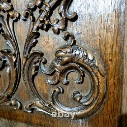 Griffin scroll leaves wood carving panel Antique French architectural salvage