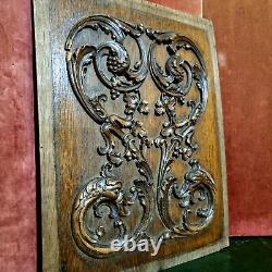 Griffin scroll leaves wood carving panel Antique French architectural salvage