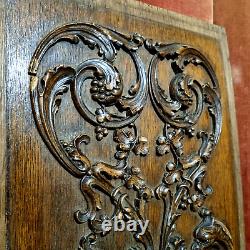 Griffin scroll leaves wood carving panel Antique French architectural salvage