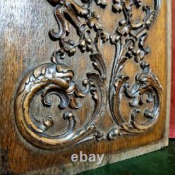 Griffin scroll leaves wood carving panel Antique French architectural salvage