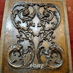 Griffin scroll leaves wood carving panel Antique French architectural salvage