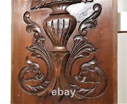 Griffin scroll leaves wood carving panel Antique french architectural salvage