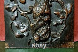 Hare hunting trophy wood carving panel Antique french architectural salvage 15