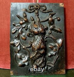 Hare hunting trophy wood carving panel Antique french architectural salvage 15