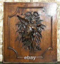 Hunting trophy bow ribbon carving panel Antique french architectural salvage