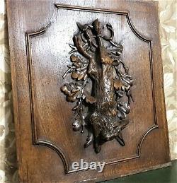 Hunting trophy decorative carving panel Antique french architectural salvage