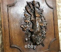 Hunting trophy decorative carving panel Antique french architectural salvage